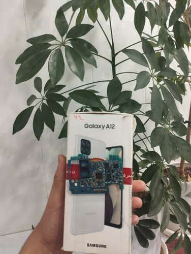 برد A12