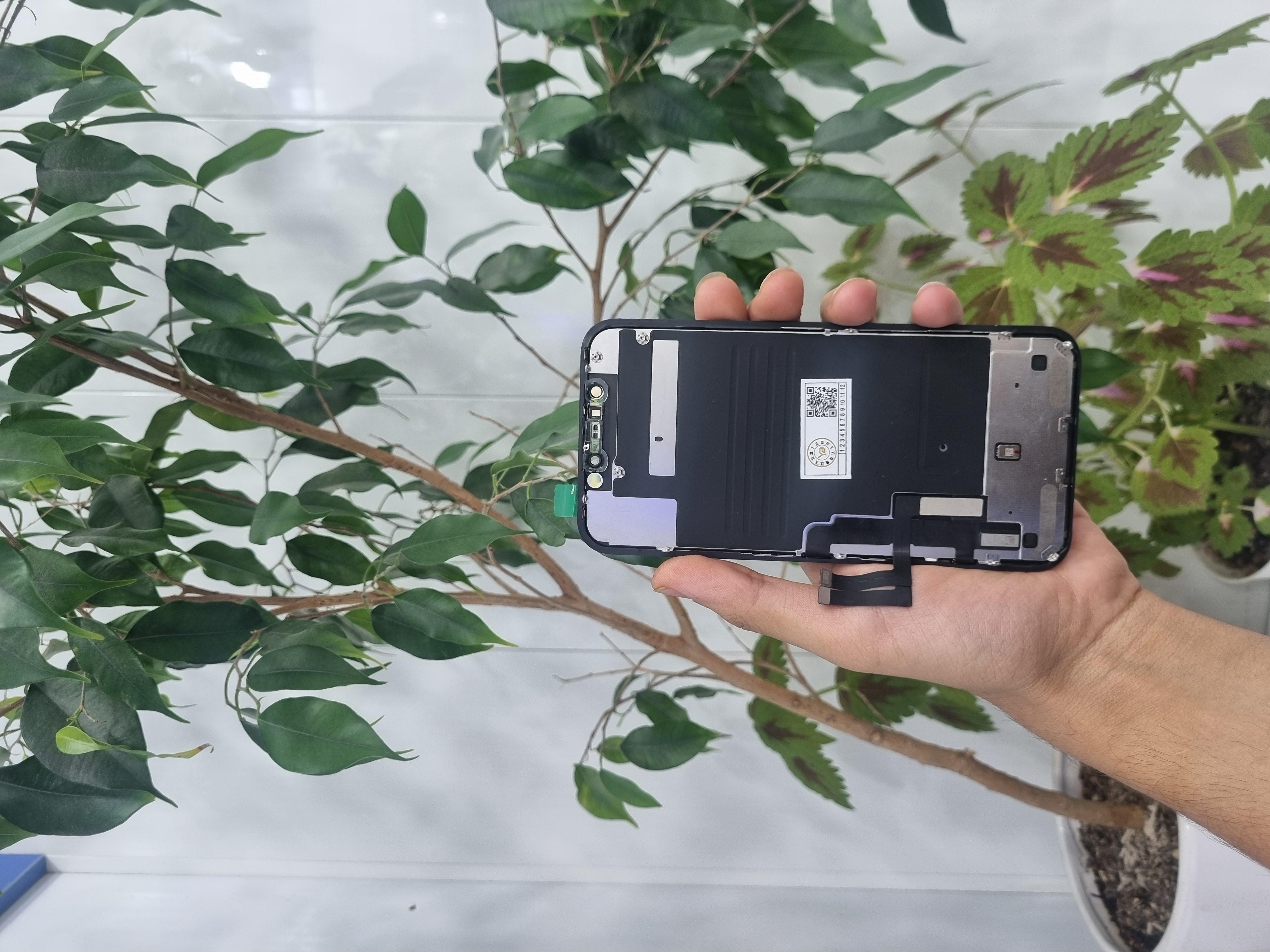 ال سی دی iphone11